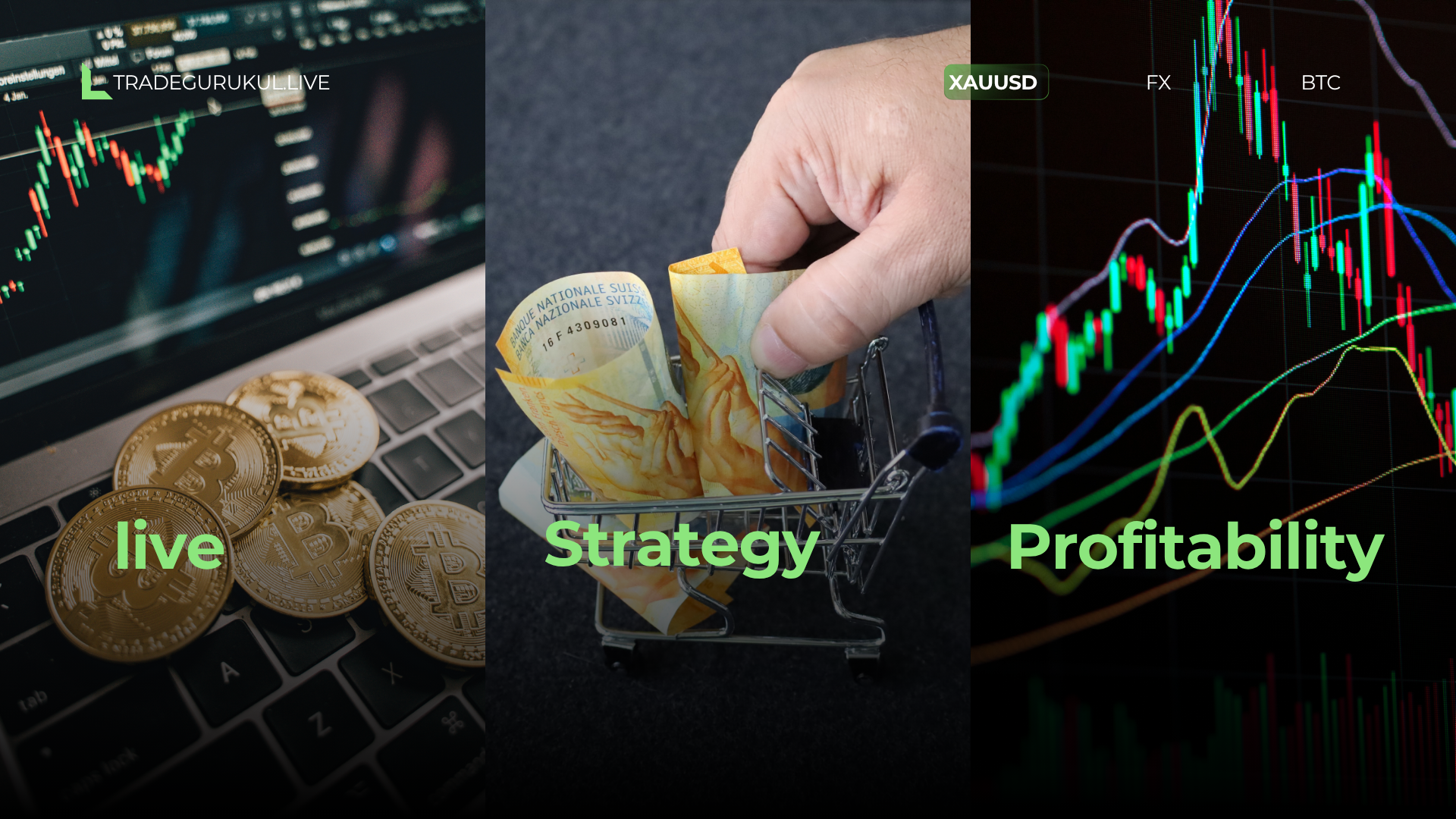 Live Strategy 