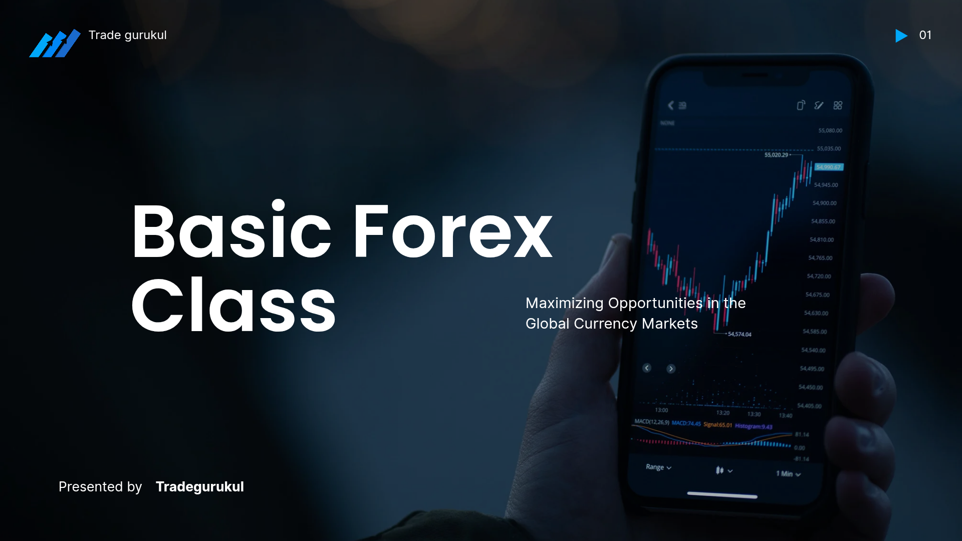 Basic forex course 